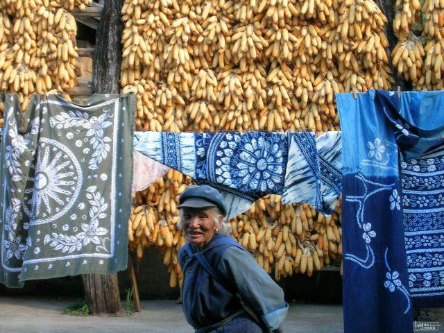 大理幼兒秋游研學，看大理研學基地如何助力大理研學！