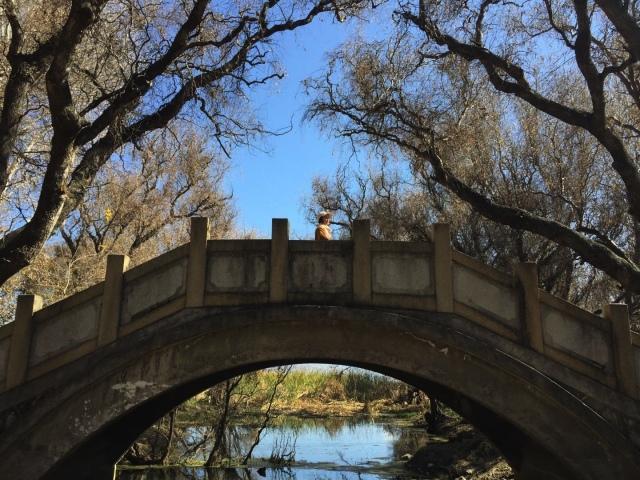 大理研學(xué)行程--這次我們帶你去見不一樣的大理！