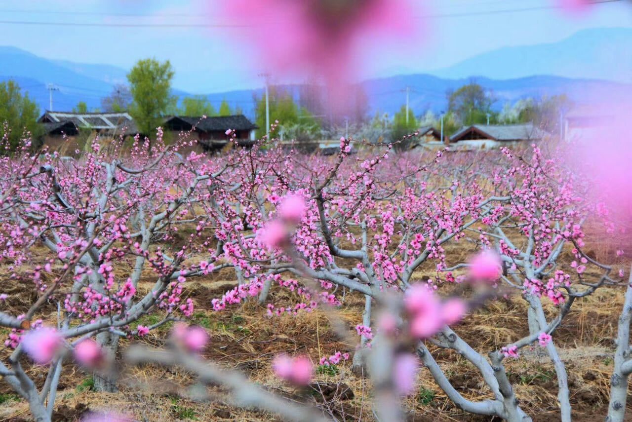 大理會議預(yù)定