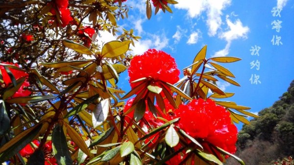 大理研學(xué)旅行可以開展的主題有哪些？