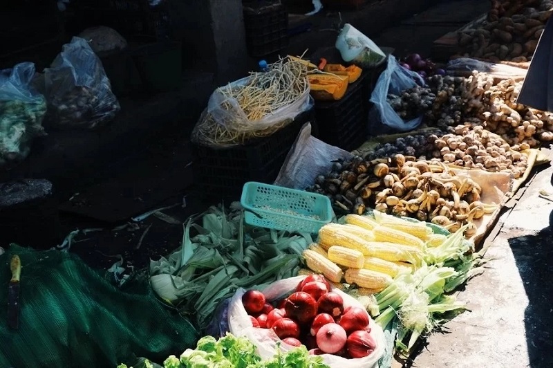 大理夏令營活動(dòng)