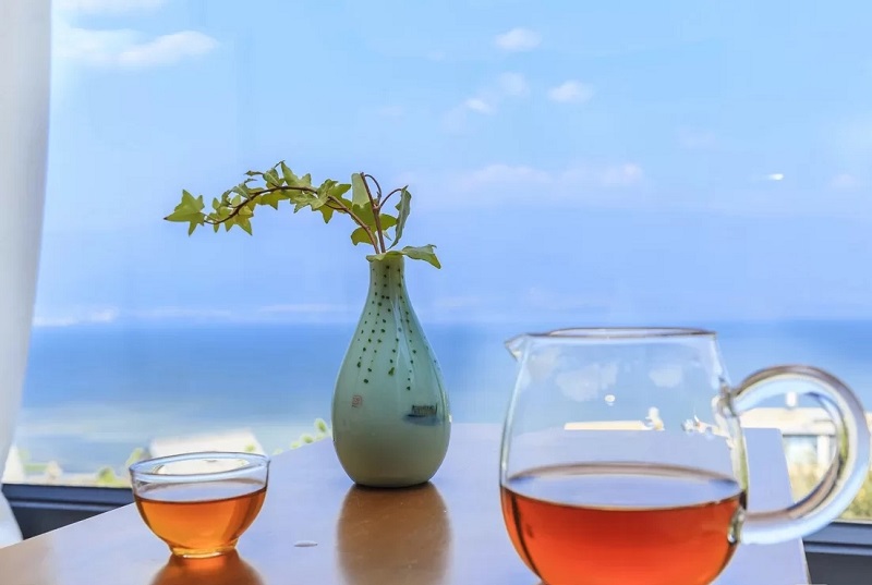 夏令營(yíng)的起源是什么？