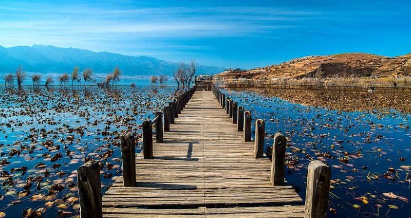 大理暑期夏令營(yíng)