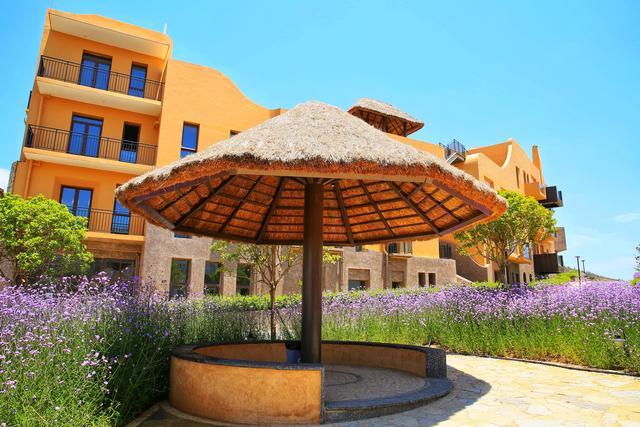 大理網(wǎng)紅拍照打卡地