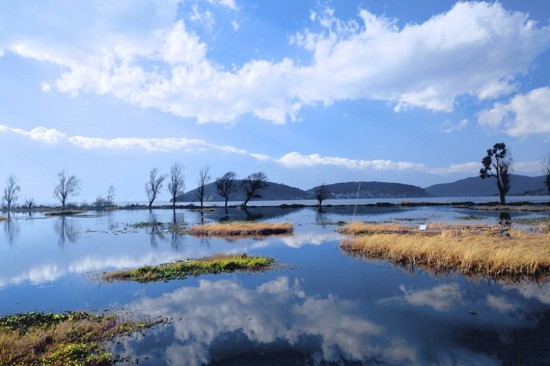 天行大理夏令營活動能為孩子提供哪些安全保障？