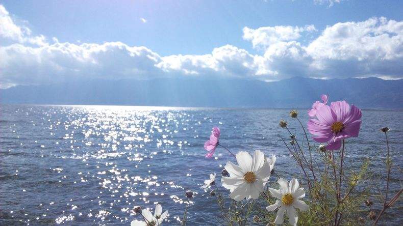 天行大理沖心智夏令營課程能對青少年心智發(fā)展的幫助哪些？