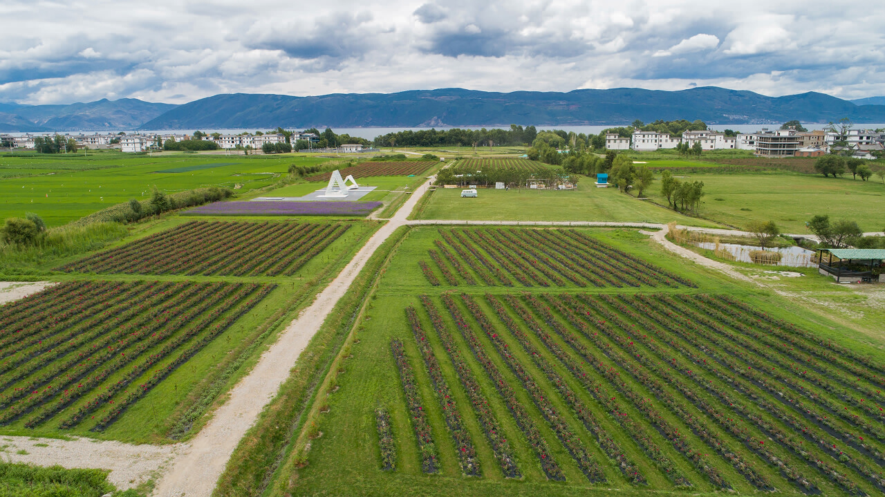 大理花伴一生玫瑰莊園鮮花餅戶(hù)外團(tuán)建