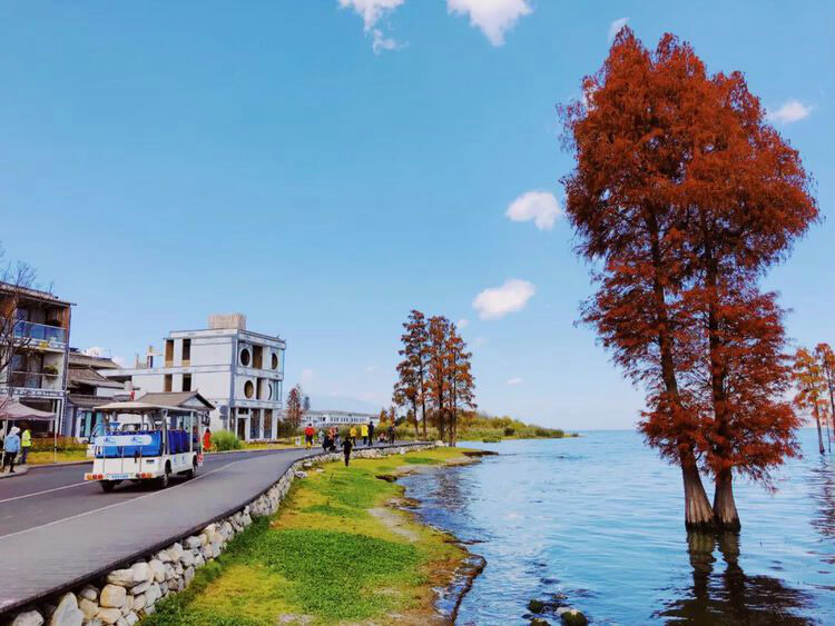 大理洱海海西騎行 生態(tài)廊道風光 最新網(wǎng)紅打卡地及戶外拓展團建首選之地