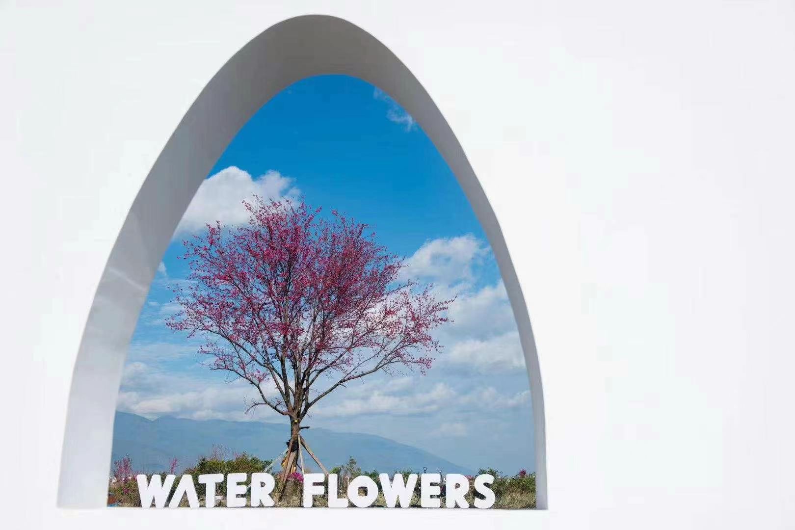 大理水花莊園戶外篝火晚會團建拓展