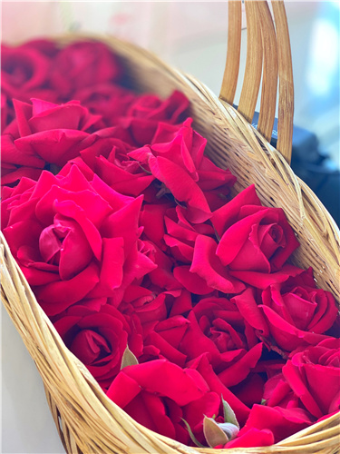 大理非遺扎染鮮花餅花漾時(shí)光體驗(yàn)團(tuán)建之旅