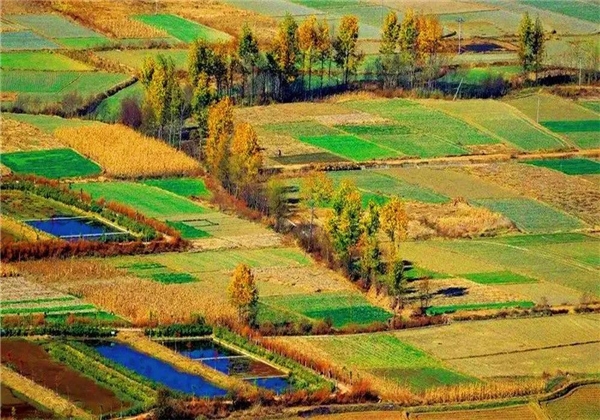 秋風(fēng)乍起，和大理鳳羽小鎮(zhèn)來一場(chǎng)相擁