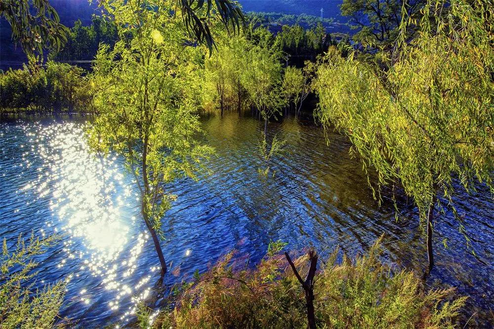 鶴慶西龍?zhí)? width=