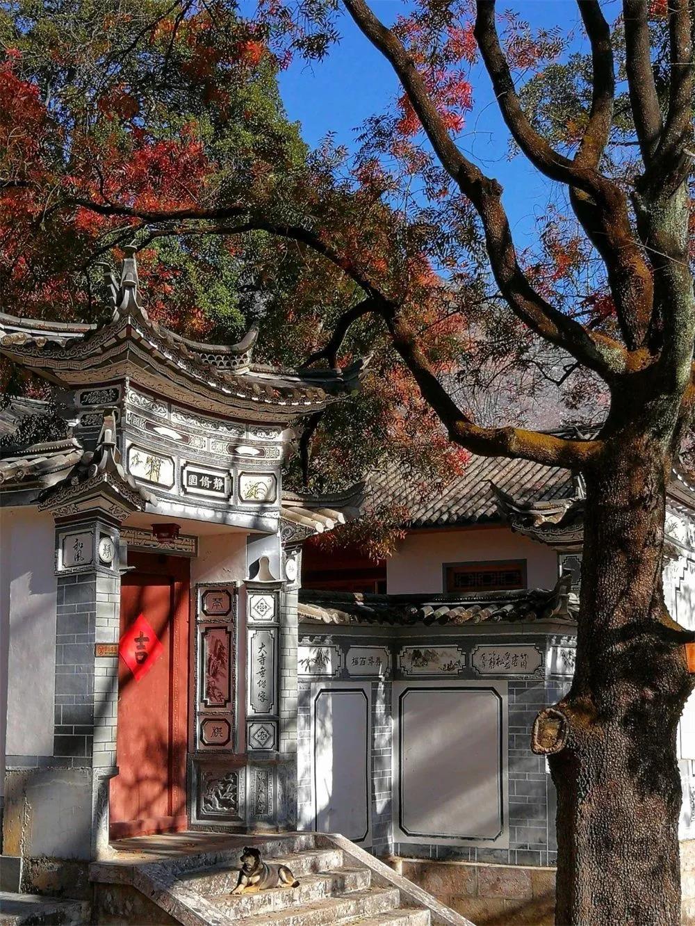 鶴陽(yáng)寺