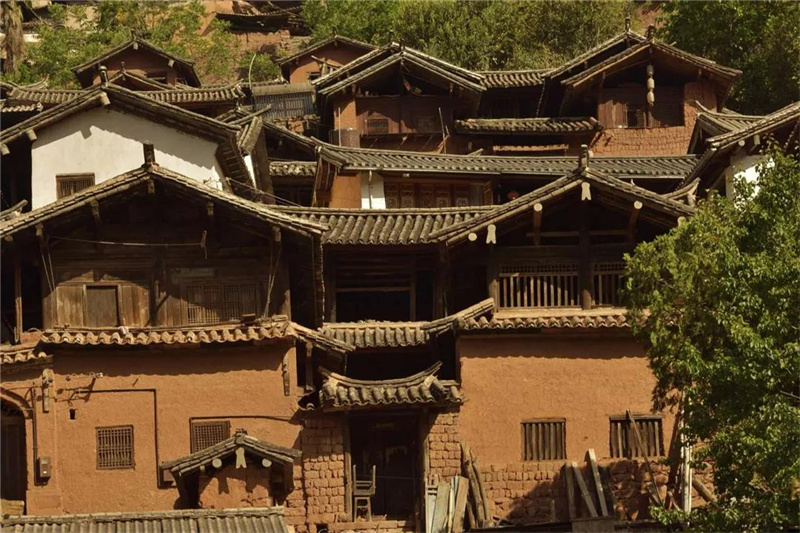 鄉(xiāng)愁大理丨諾鄧大青樹下，宿進(jìn)青蔥歲月，眺望巨木蒼天