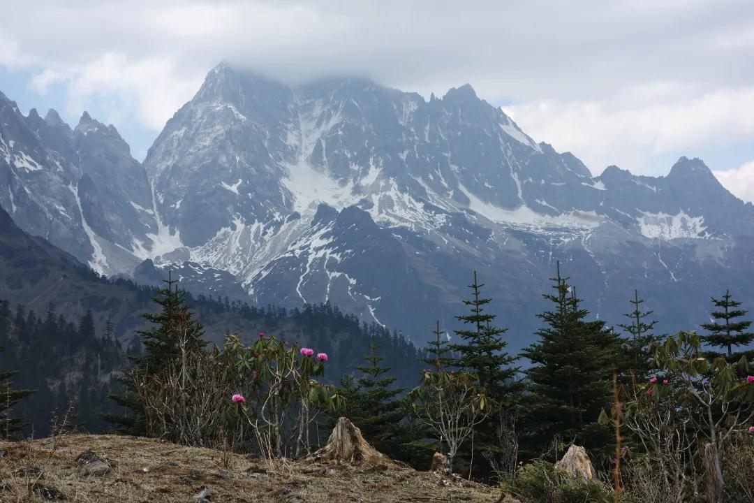 在大理，我找到了真正的森林 大理旅游攻略
