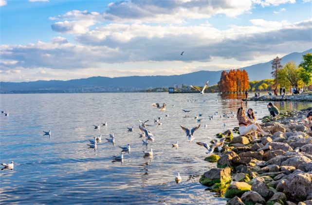 【美麗大理】冬天的洱海生態(tài)廊道，美出新高度