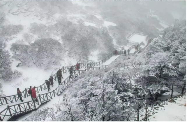 蒼山的風(fēng)花雪月！簡(jiǎn)直美到讓人尖叫！