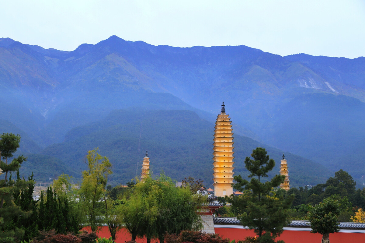 大理傳媒公司：蒼山西坡杜鵑花開(kāi)成海，絕不辜負(fù)你賞春的心意！