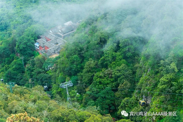 來雞足山，過20℃的夏天！