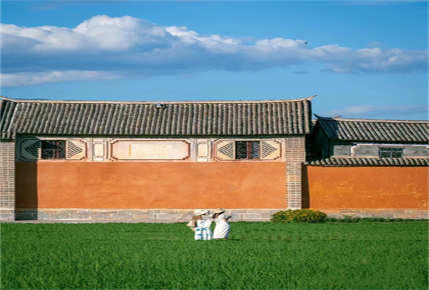 今日份的好心情，是喜洲稻田給的