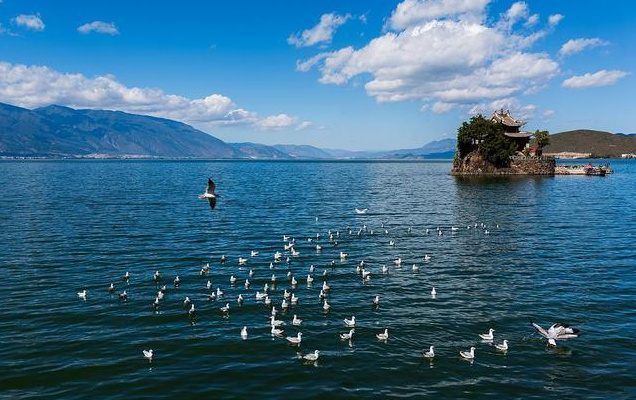 大理會(huì)務(wù)公司：大理秋日美食圖鑒！這份“貼秋膘”指南快收藏！