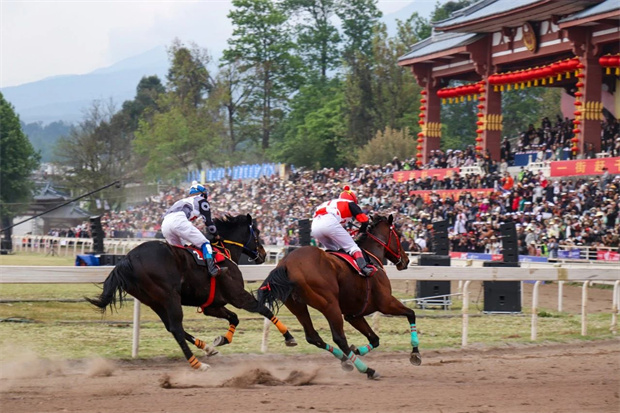 云南旅游,云南旅行社,云南團(tuán)建公司,云南策劃公司,云南會(huì)展公司,大理旅游,大理旅行社,大理團(tuán)建公司,大理策劃公司,大理會(huì)議會(huì)展：三月街賽馬大會(huì)激情上演！