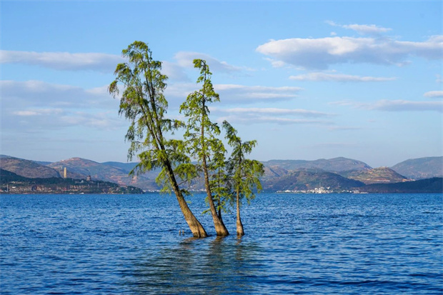云南旅游,云南旅行社,云南團(tuán)建公司,云南策劃公司,云南會議會展,云南旅游地接,大理旅游,大理旅行社,大理團(tuán)建公司,大理策劃公司,大理會議會展：避暑，為什么要去大理？