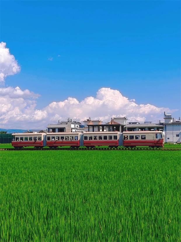 大理旅游,大理旅行社,大理團(tuán)建公司,大理策劃公司,大理會議會展,云南旅游,云南旅行社,云南團(tuán)建公司,云南策劃公司,云南會議會展：坐上喜洲稻田小火車，一秒進(jìn)入動漫畫卷