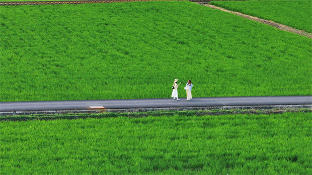 云南旅游,云南旅行社,云南團(tuán)建公司,云南策劃公司,云南會議會展,大理旅游,大理旅行社,大理團(tuán)建公司,大理會議會展：去大理，坐上那趟心愛的小火車