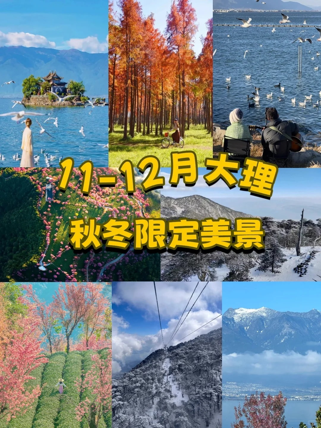 云南旅游,云南旅行社,云南團(tuán)建公司,云南策劃公司,云南會議會展,云南策劃執(zhí)行,大理旅游,大理旅行社,大理團(tuán)建公司,大理會議公司,大理會議會展,大理策劃公司:11-12月大理秋季限定美景美到窒息