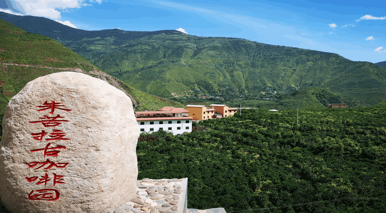 云南旅游,云南旅行社,云南團(tuán)建公司,云南策劃公司,云南會議會展,云南策劃執(zhí)行,大理旅游,大理旅行社,大理團(tuán)建公司,大理會議公司,大理會議會展,大理策劃公司:咖豆尋根·咖啡深度研學(xué)團(tuán)建之旅