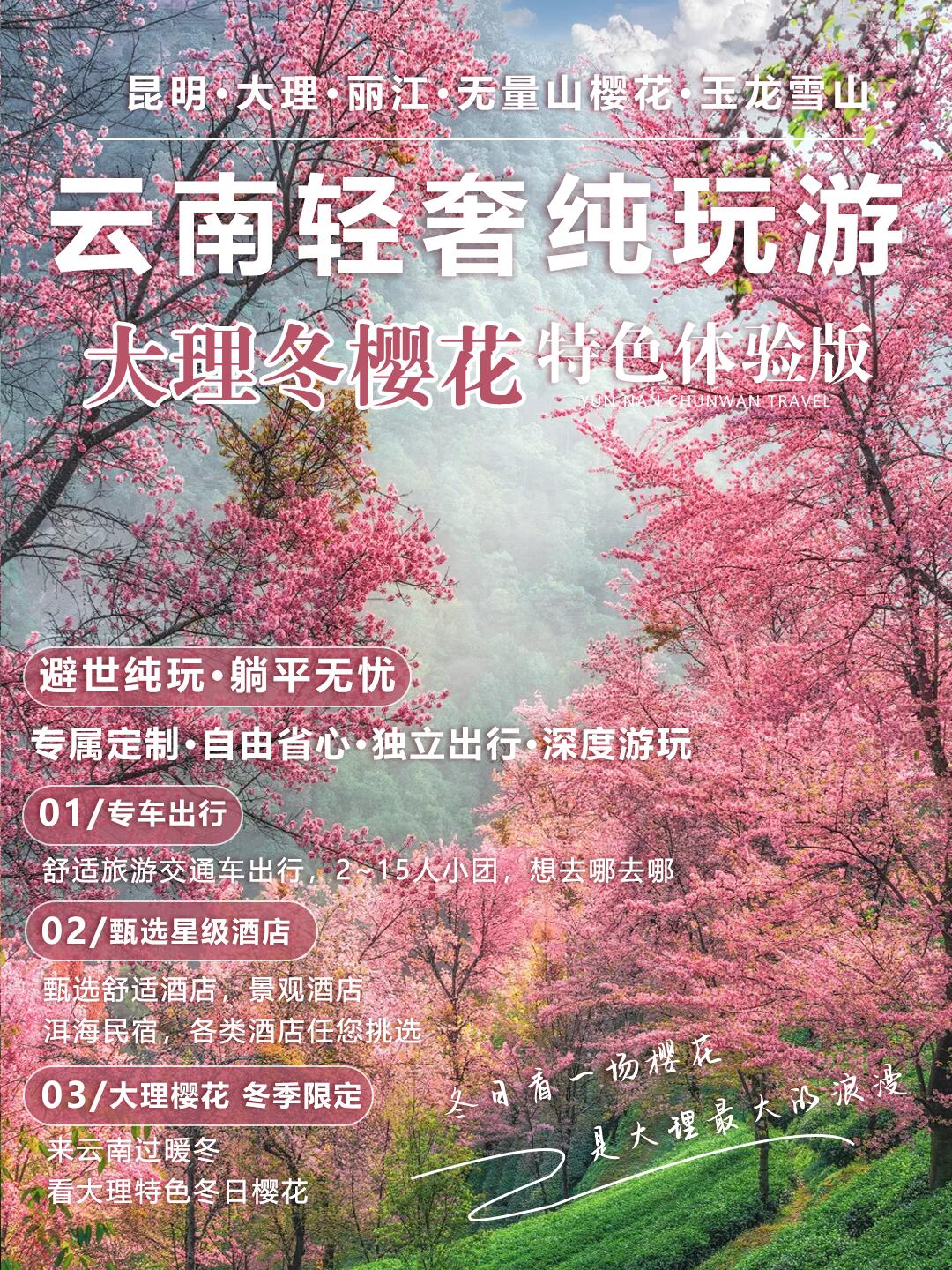 純玩小團(tuán)人均1k+解鎖大理冬櫻6日游你不知道的秘密賞櫻地大理冬櫻寒假快沖！