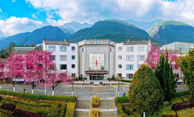 大理旅游：去賞櫻，大理大學(xué)開放日來了！